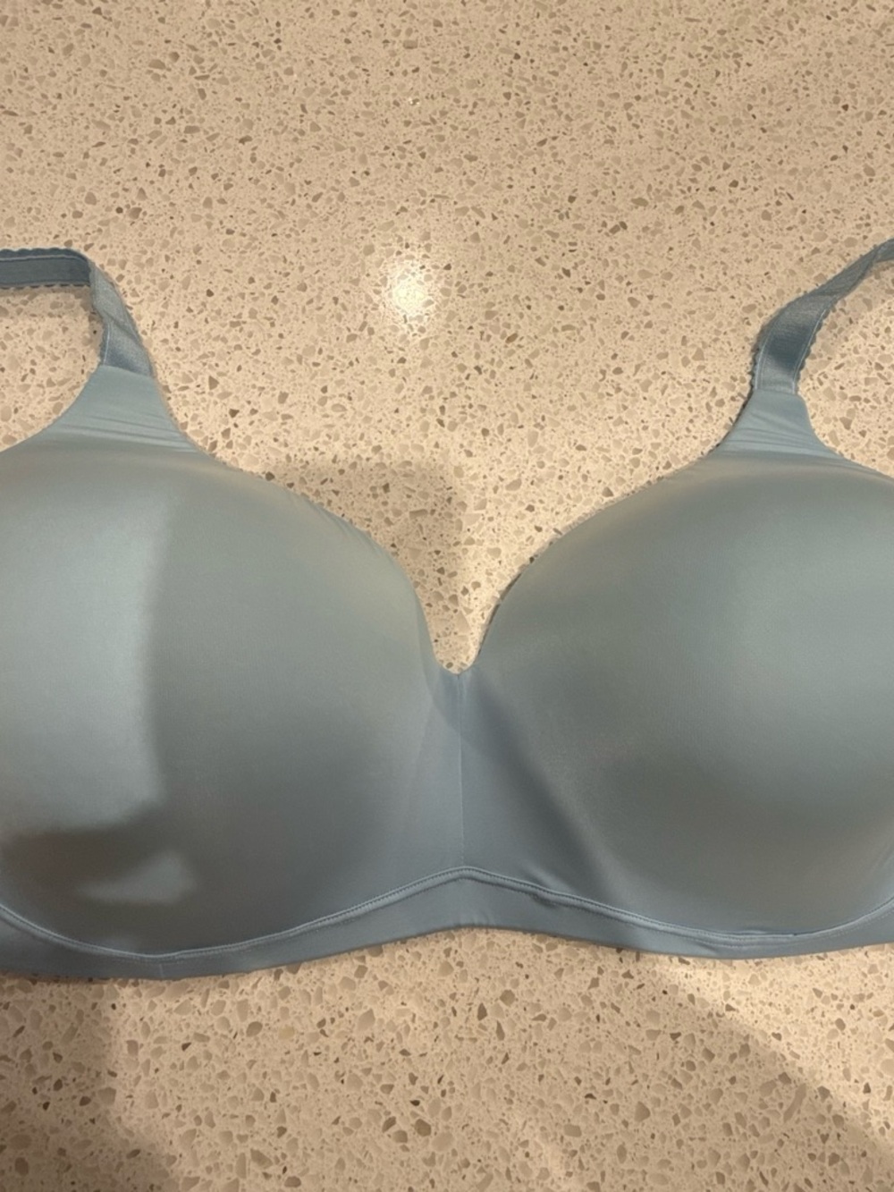 NWT Bare Wire-Free Smoothing Bra Clear Sky 40DDD